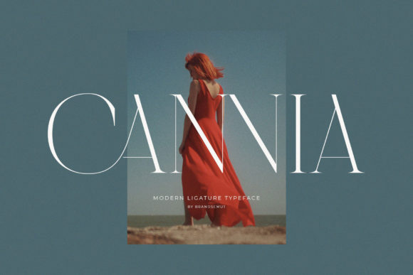 Download Cannia || Ligature Typeface - Ligature Collection